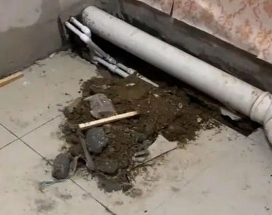 高邑卫生间漏水检测哪家好